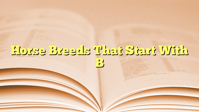 Horse Breeds That Start With B